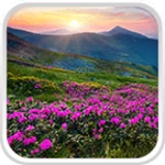 Logo of Mountain Flower Live Wallpaper android Application 